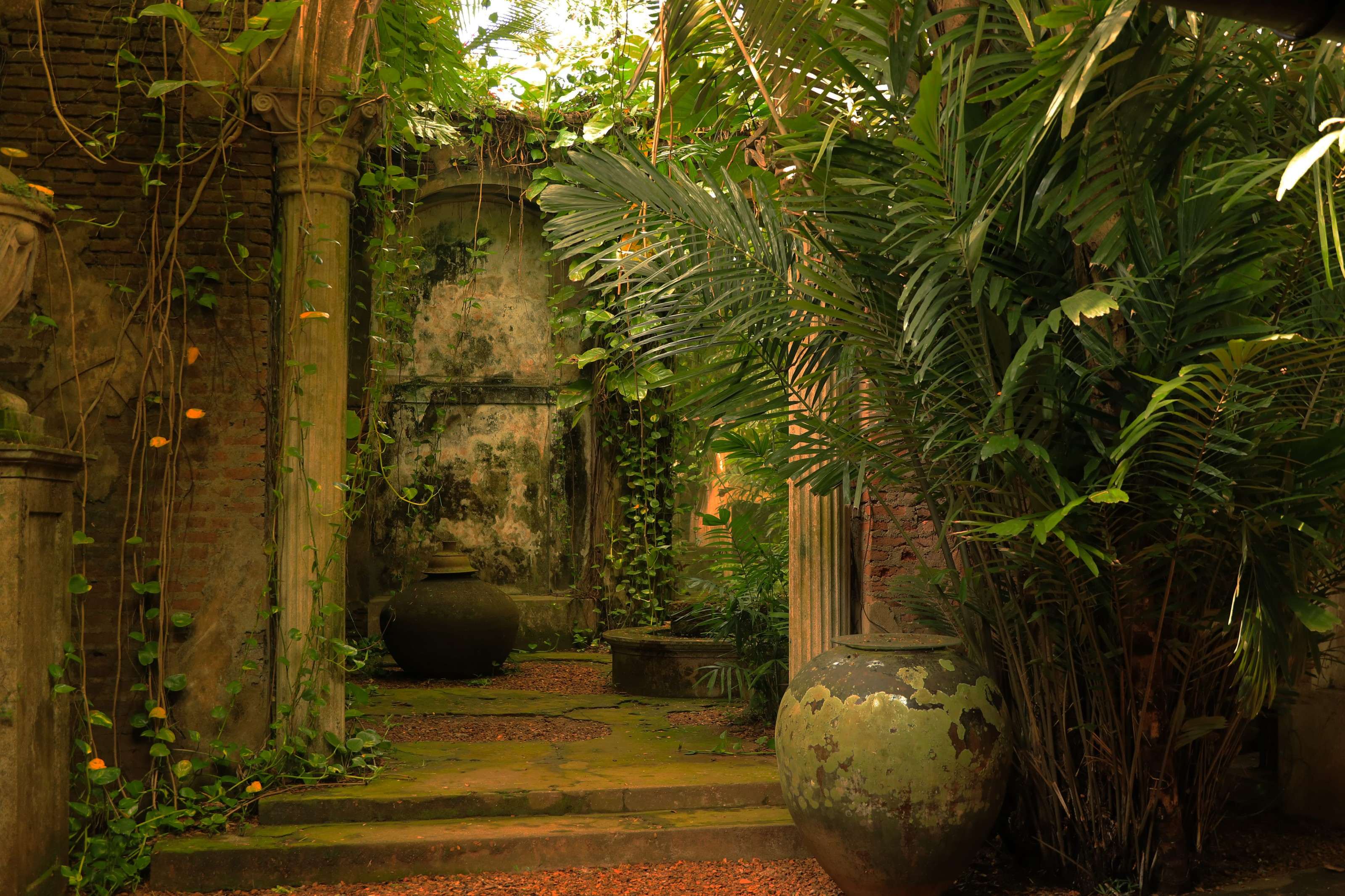 A courtyard garden of old brick walls and columns overgrown with ferns, a large clay urn at the end of a mossy path.