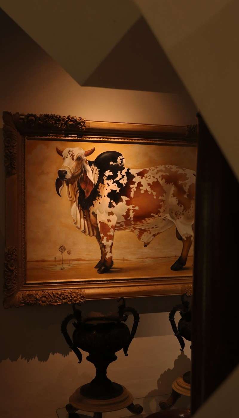 An oil painting of a white bull with brown patches, in a heavy gilt frame, above a pair of dark urns.