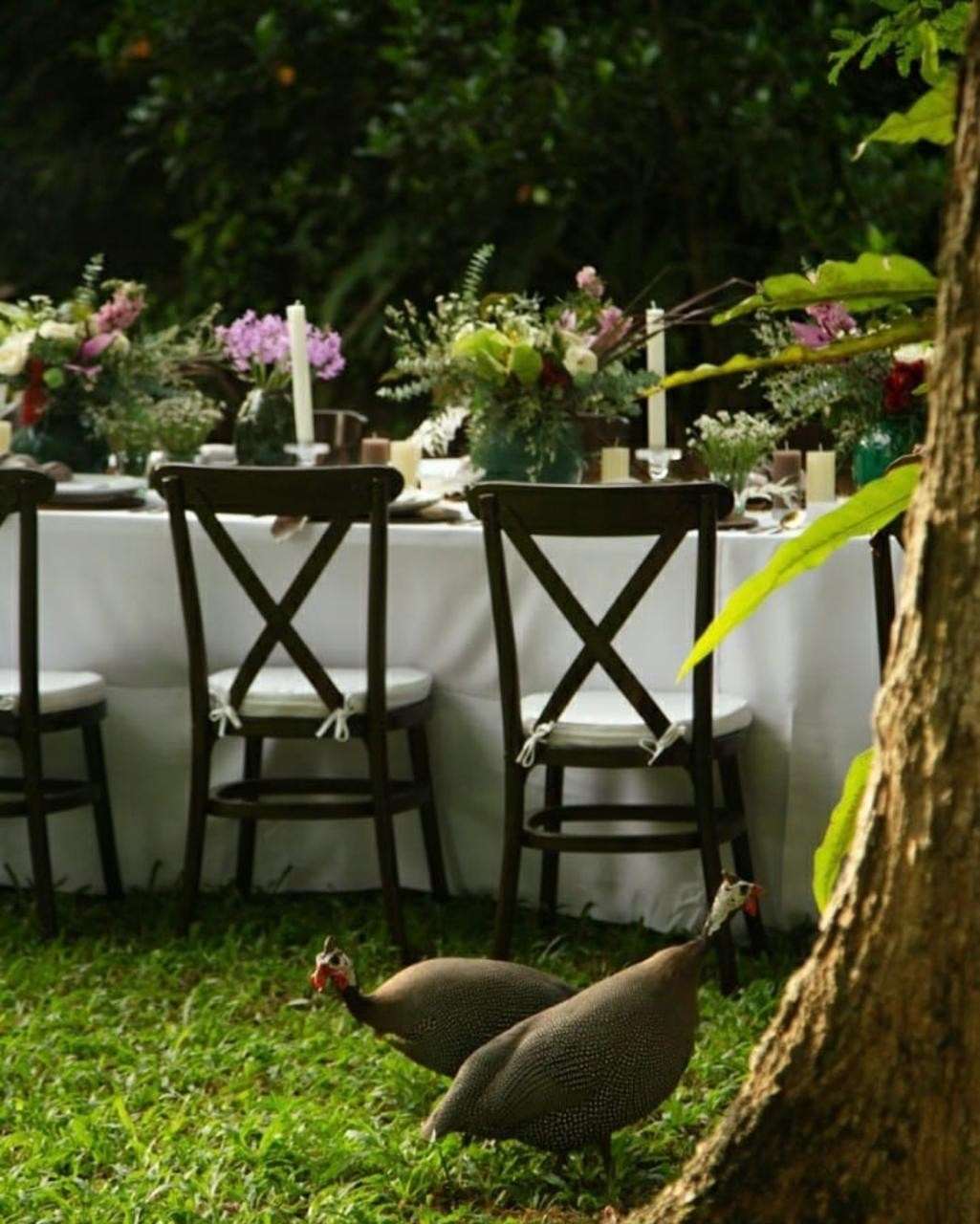 Guineafowl pecking at the grass beside a table laid with flowers and candles in the garden.