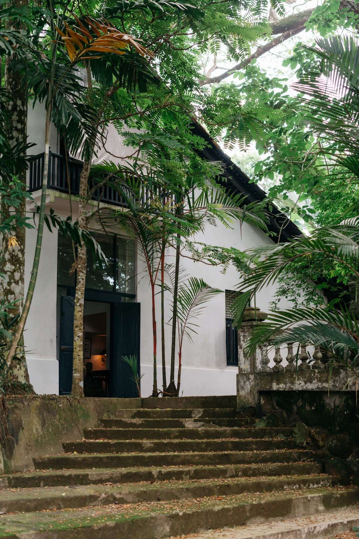 Worn stone steps rising through palms to the white gable of the house.