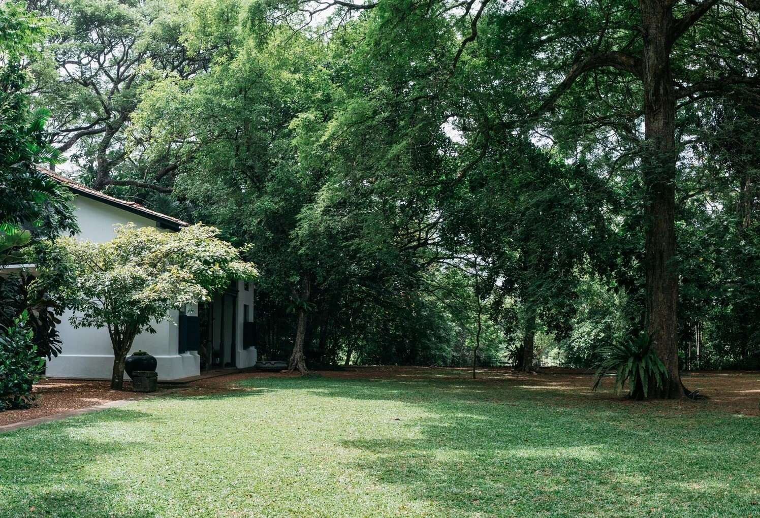 The garden: a wide lawn under tall old trees, with the whitewashed villa at the edge of the shade.